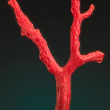 Корал